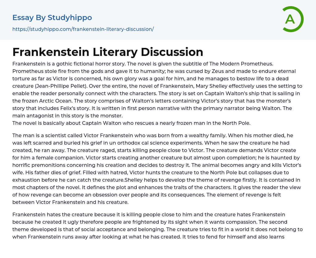 Frankenstein Literary Discussion Essay Example