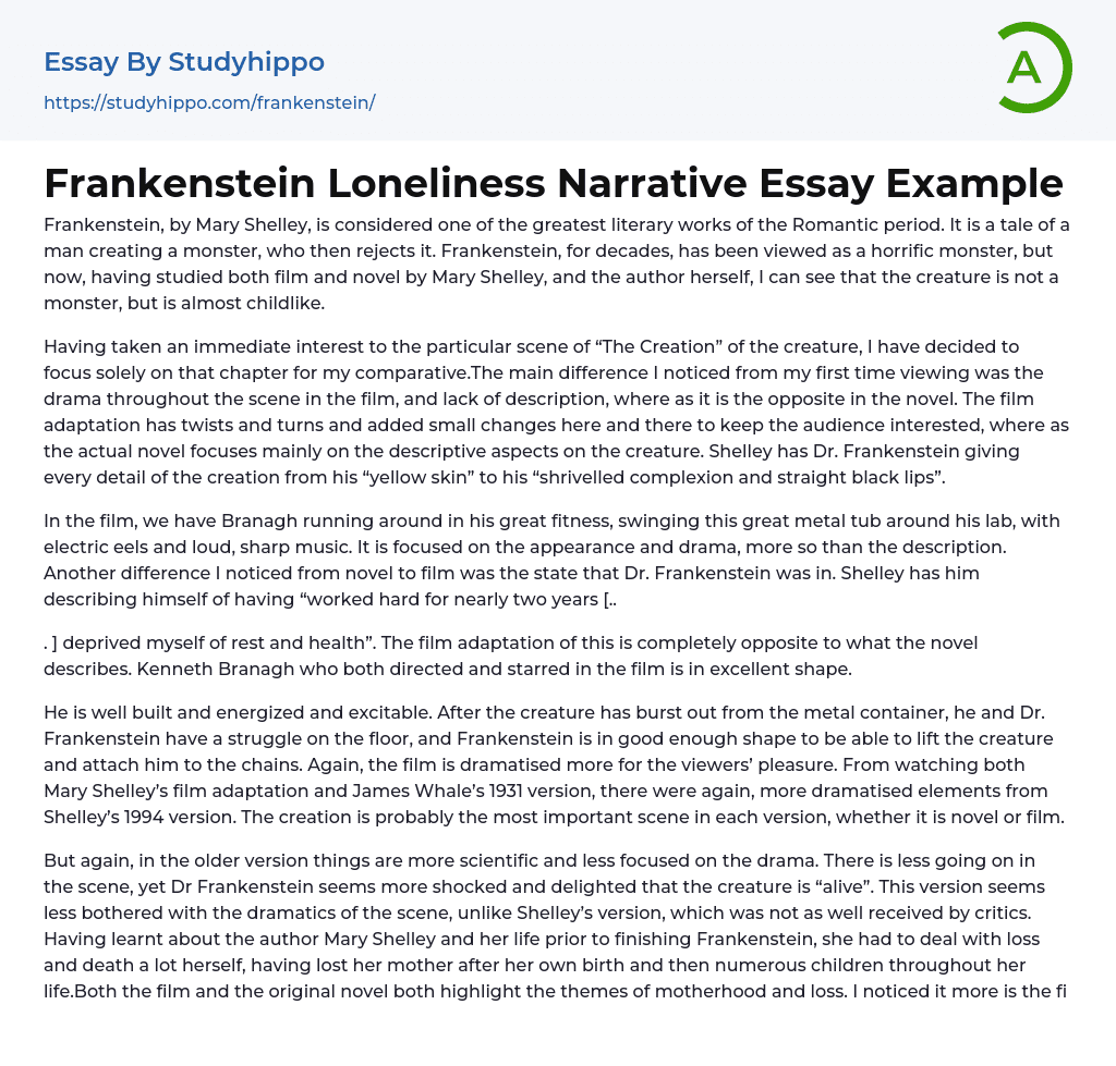 Frankenstein Loneliness Narrative Essay Example