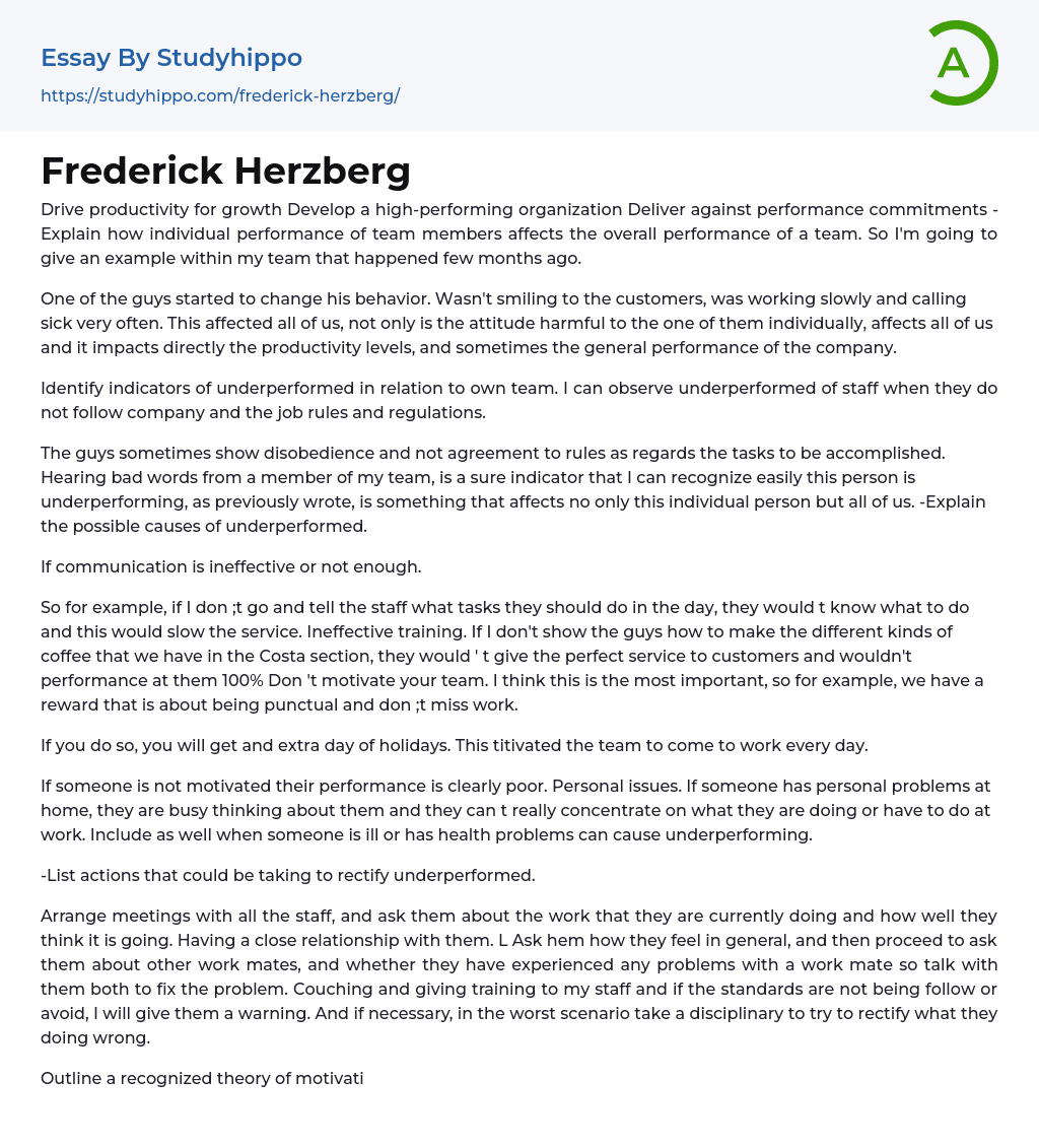 Frederick Herzberg Essay Example