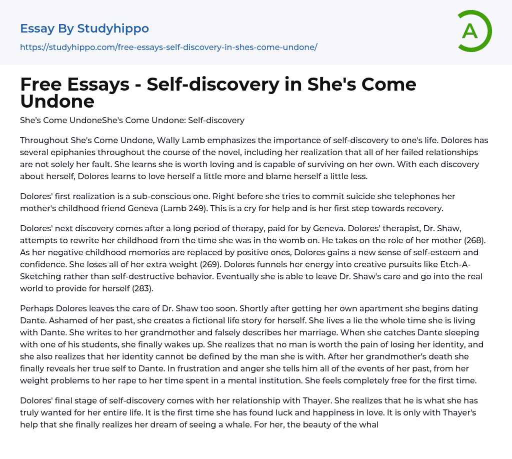Free Essays – Self-discovery in She’s Come Undone