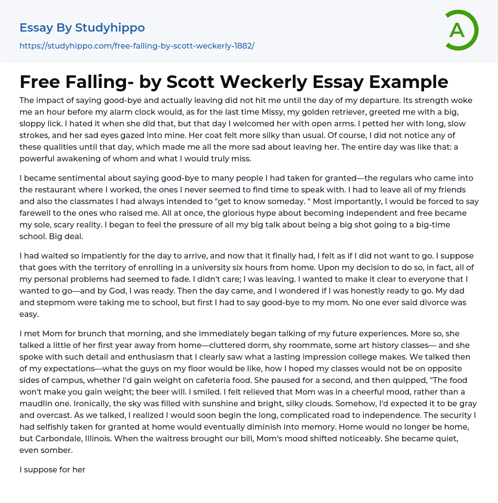 Free Falling- by Scott Weckerly Essay Example