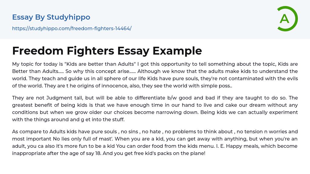 Freedom Fighters Essay Example