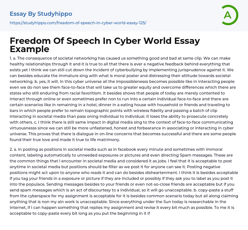 Freedom Of Speech In Cyber World Essay Example