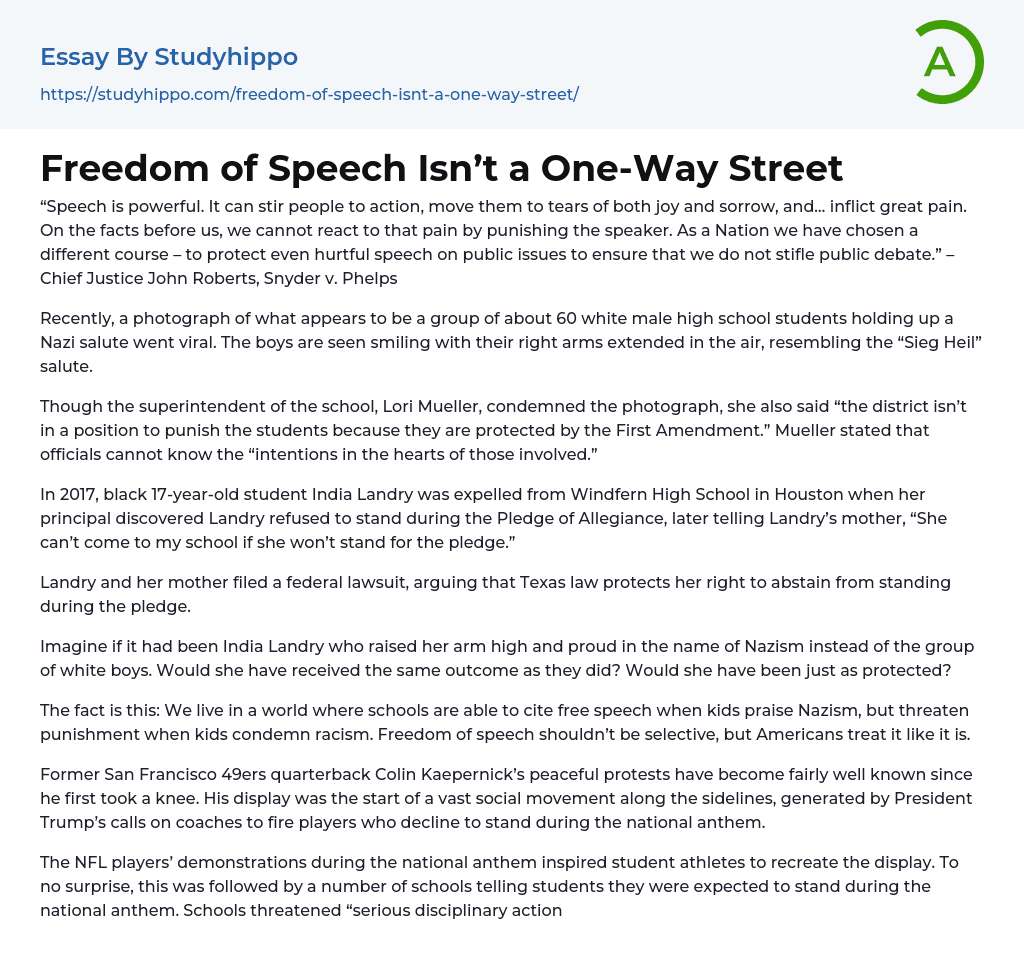 Freedom of Speech Isn’t a One-Way Street Essay Example