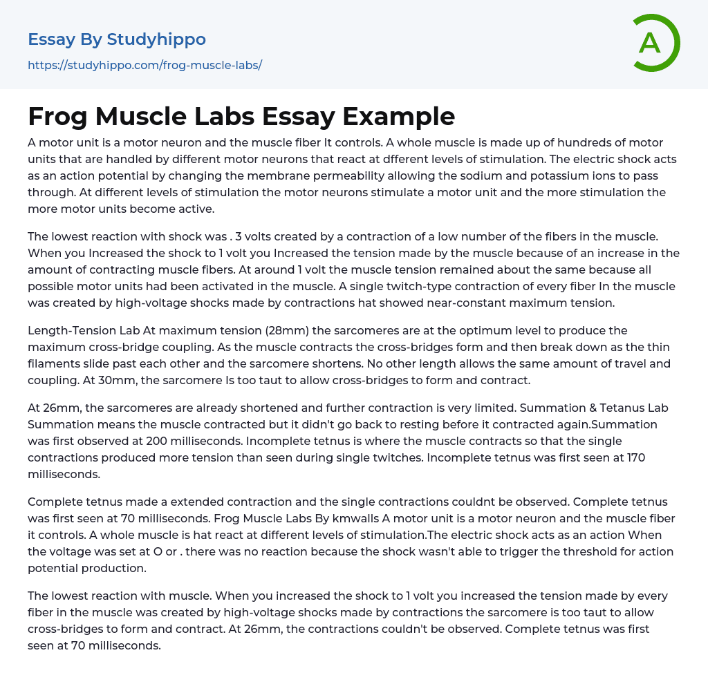 Frog Muscle Labs Essay Example
