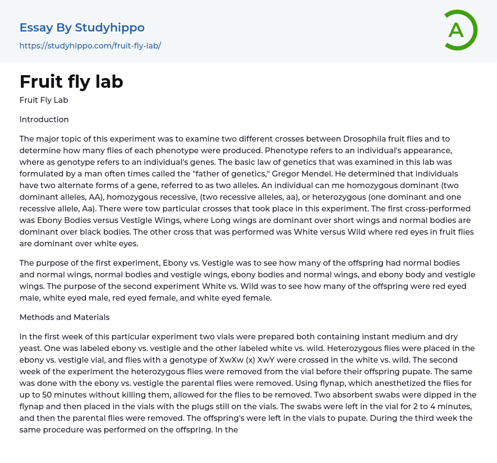 Fruit fly lab Essay Example