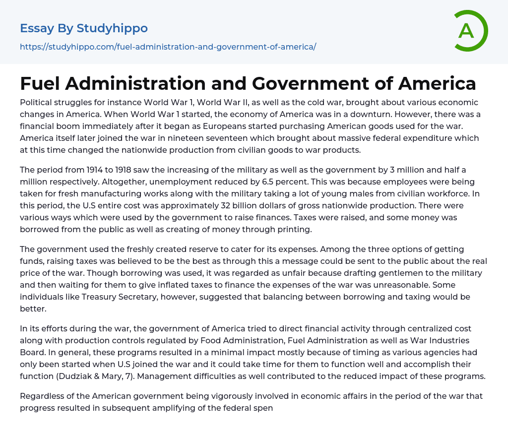 Fuel Administration and Government of America Essay Example