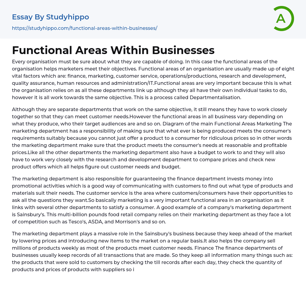Functional Areas Within Businesses Essay Example