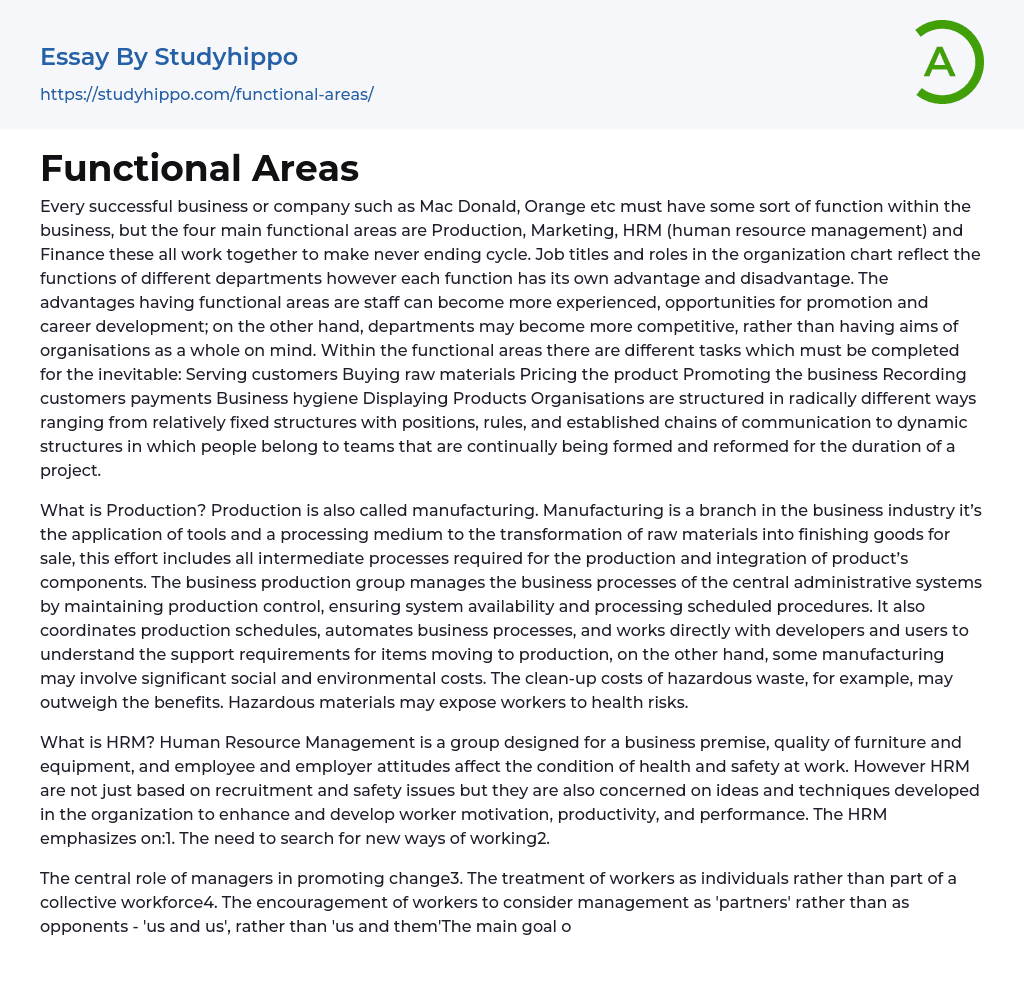Functional Areas Essay Example