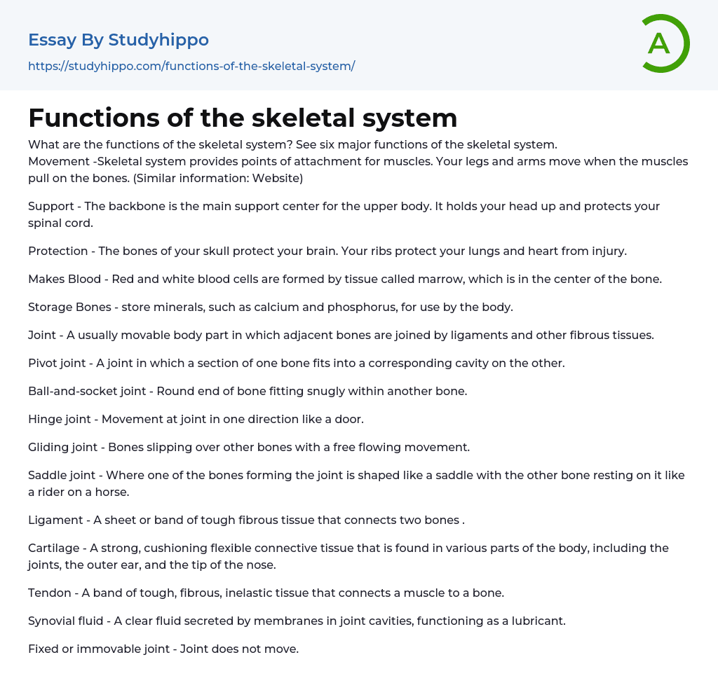 What Are the Functions of the Skeletal System? Essay Example