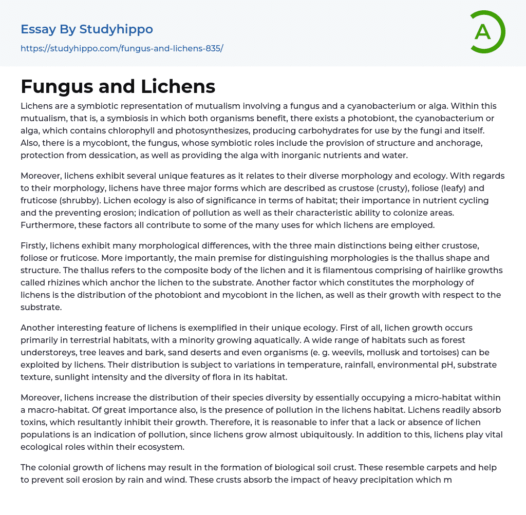 Fungus and Lichens Essay Example