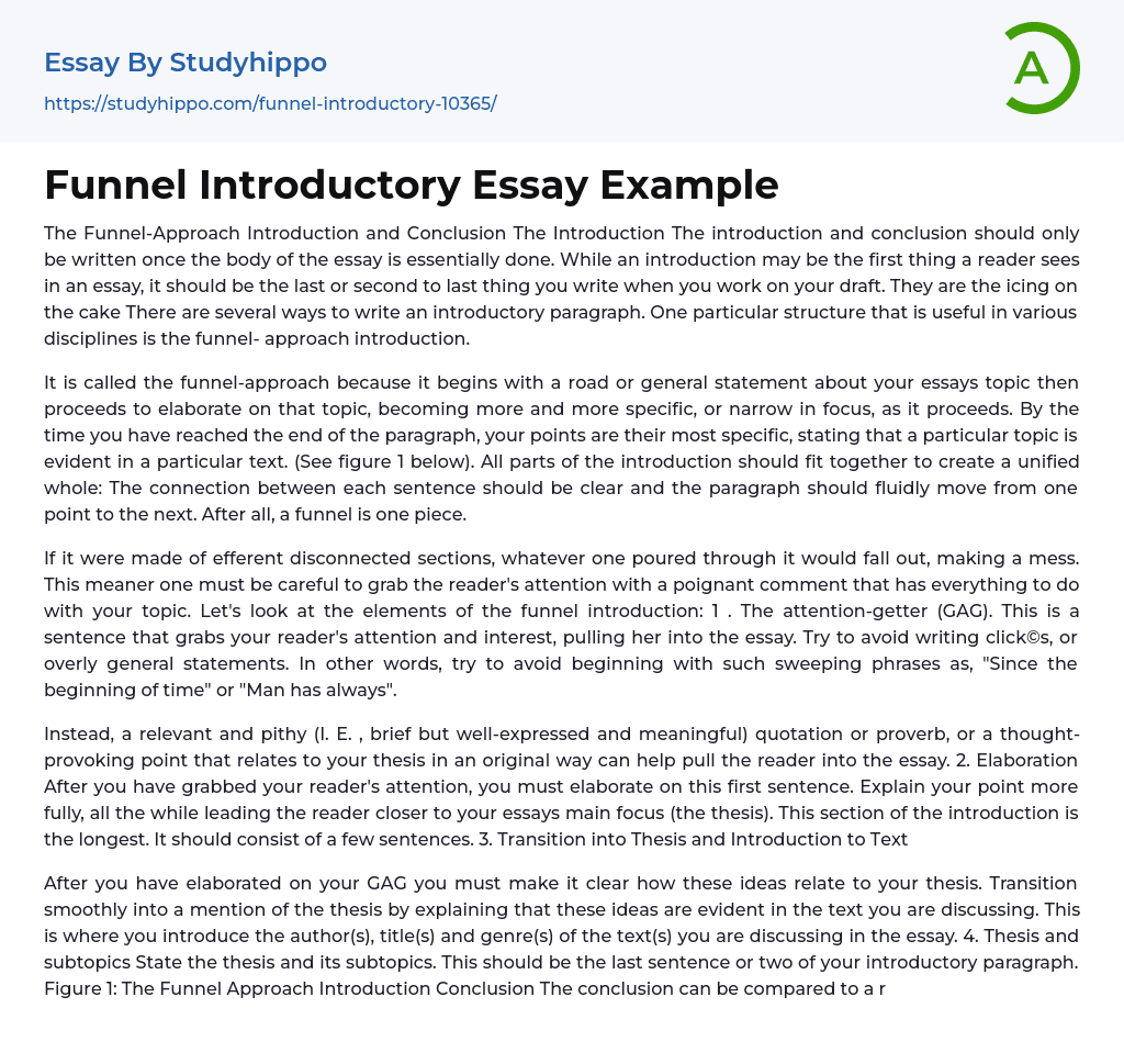 Funnel Introductory Essay Example