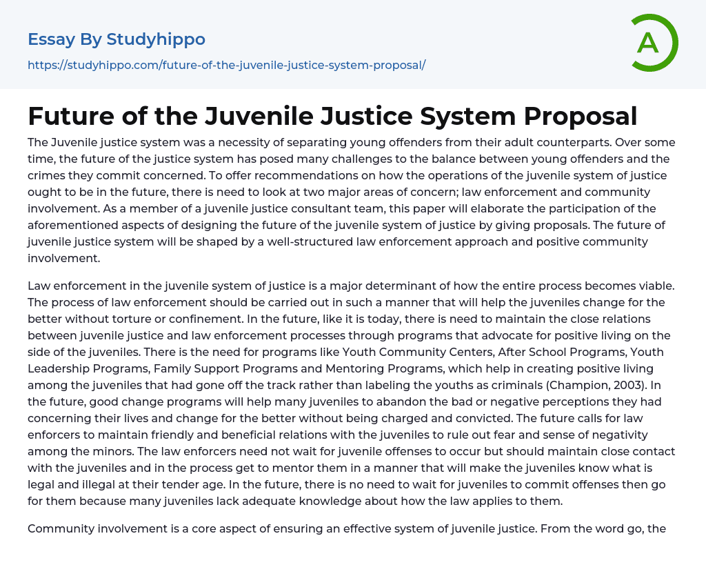 Future of the Juvenile Justice System Proposal Essay Example