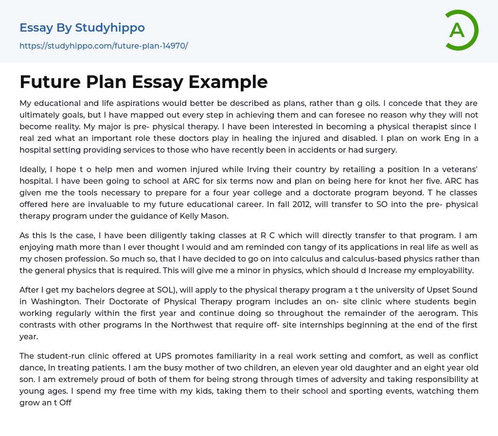 Future Plan Essay Example