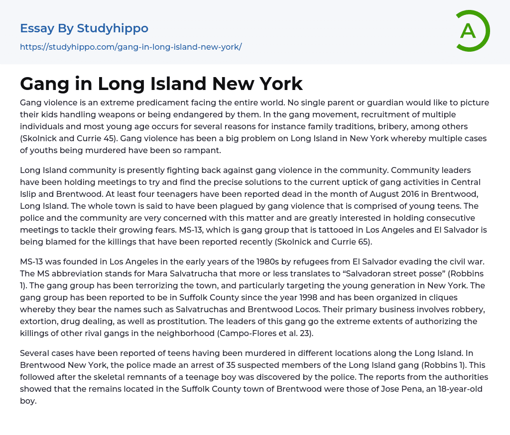 Gang in Long Island New York Essay Example