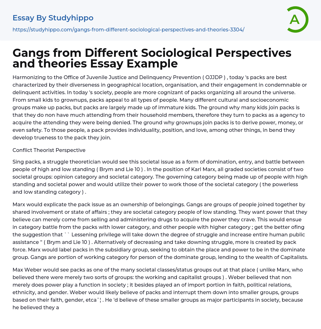 Gangs from Different Sociological Perspectives and theories Essay Example