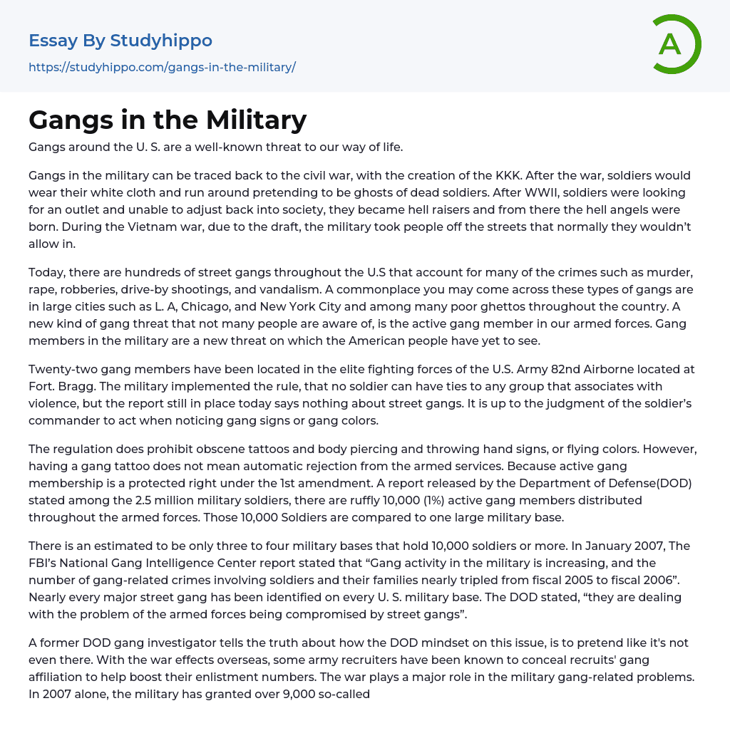 Gangs in the Military Essay Example