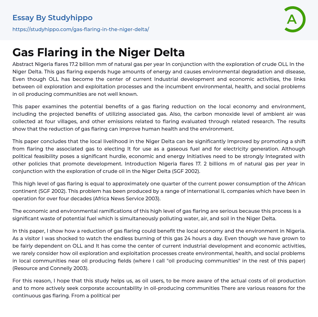 Gas Flaring in the Niger Delta Essay Example