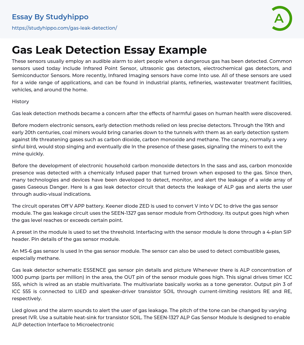 Gas Leak Detection Essay Example