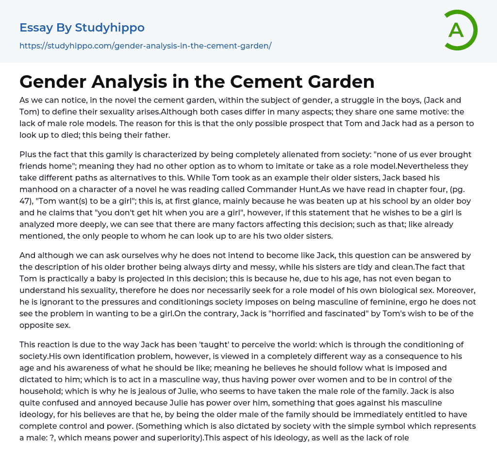 Gender Analysis in the Cement Garden Essay Example