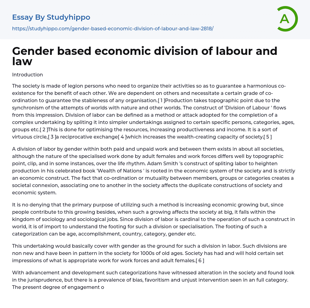 Gender based economic division of labour and law Essay Example