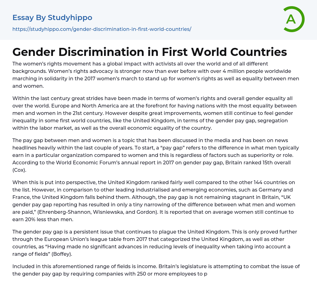 Gender Discrimination in First World Countries Essay Example