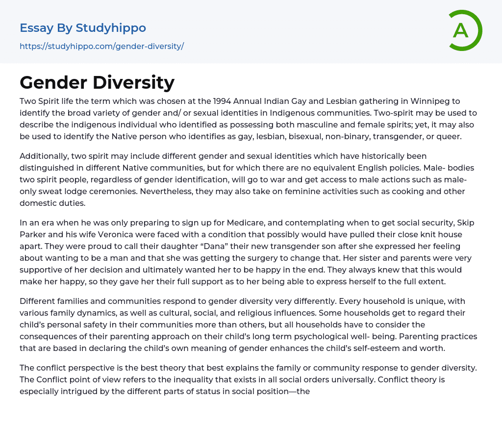 Gender Diversity Essay Example