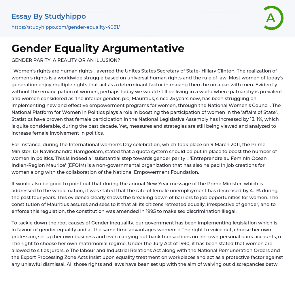 Gender Equality Argumentative Essay Example