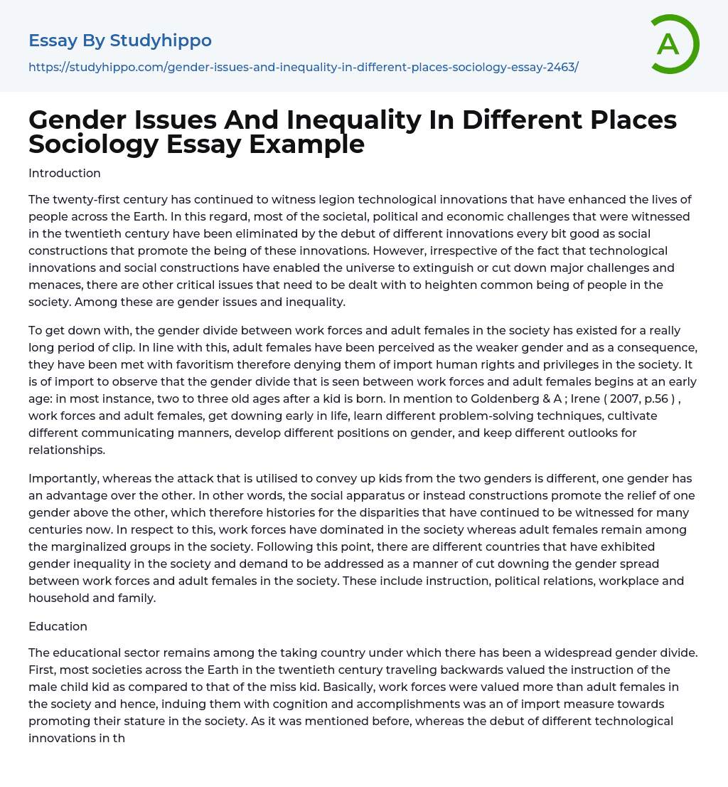 Gender Issues And Inequality In Different Places Sociology Essay Example