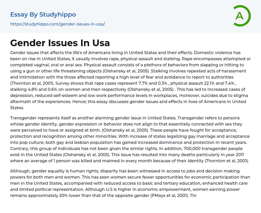 Gender Issues In Usa Essay Example