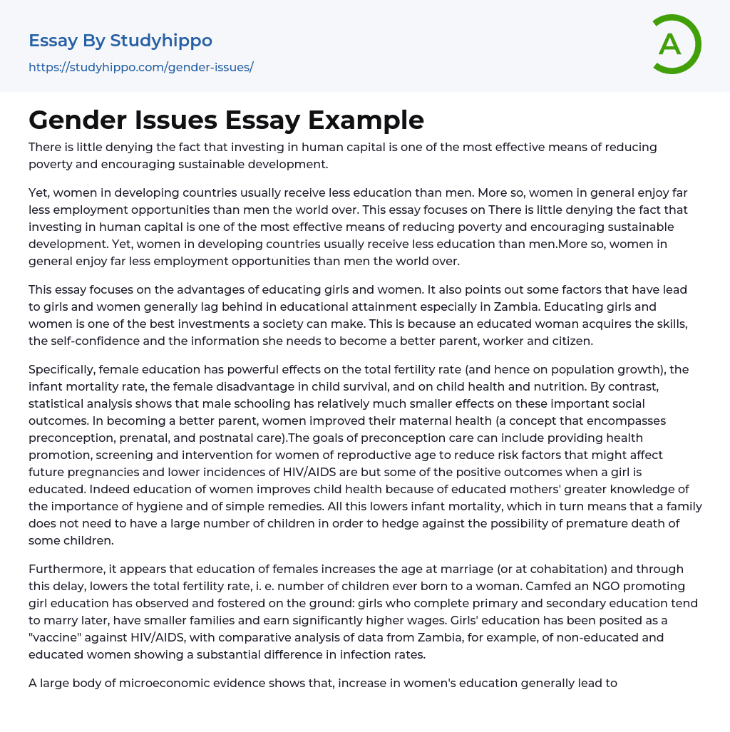Gender Issues Essay Example