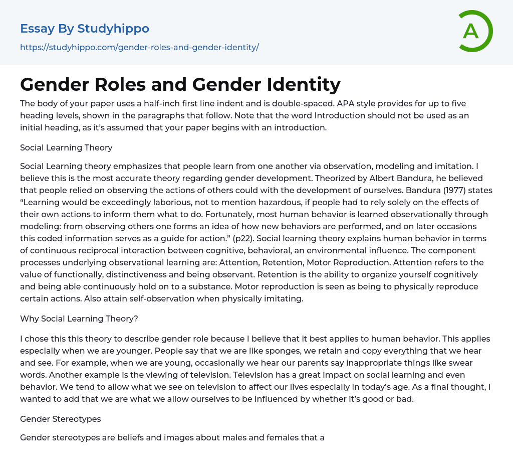 essay on gender and identity