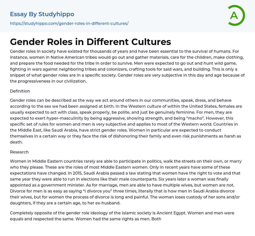 Gender Roles in Different Cultures Essay Example