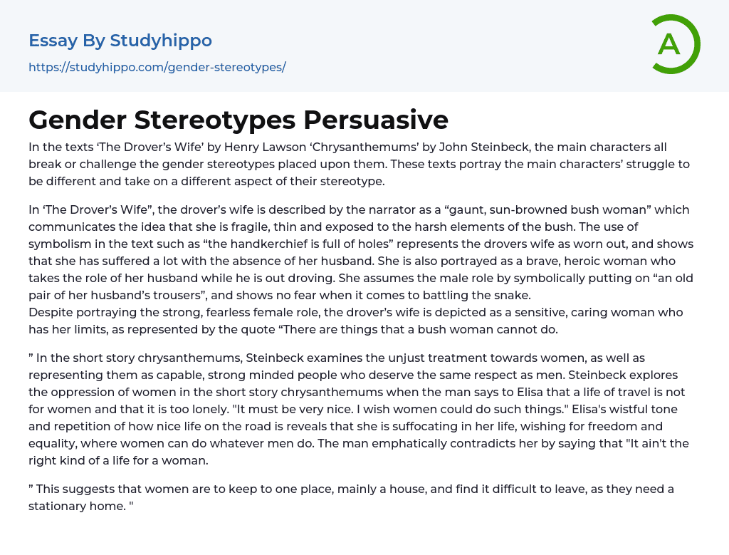 Gender Stereotypes Persuasive Essay Example
