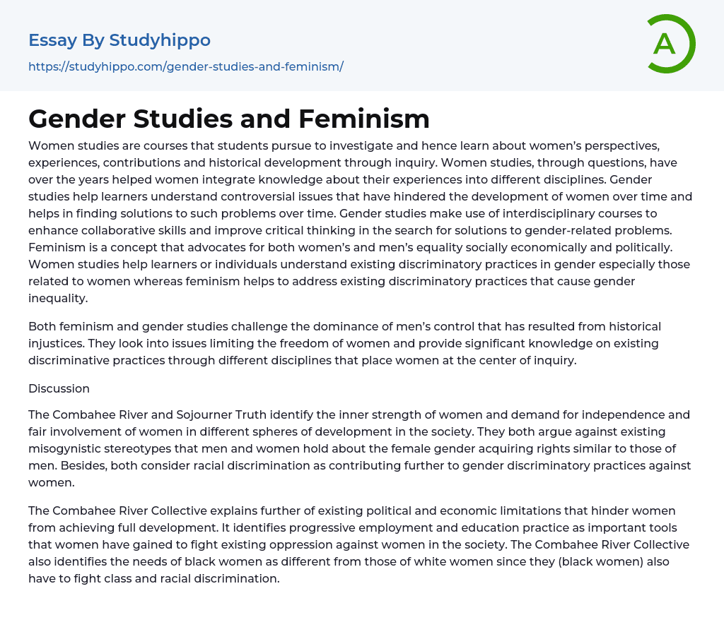 Gender Studies and Feminism Essay Example