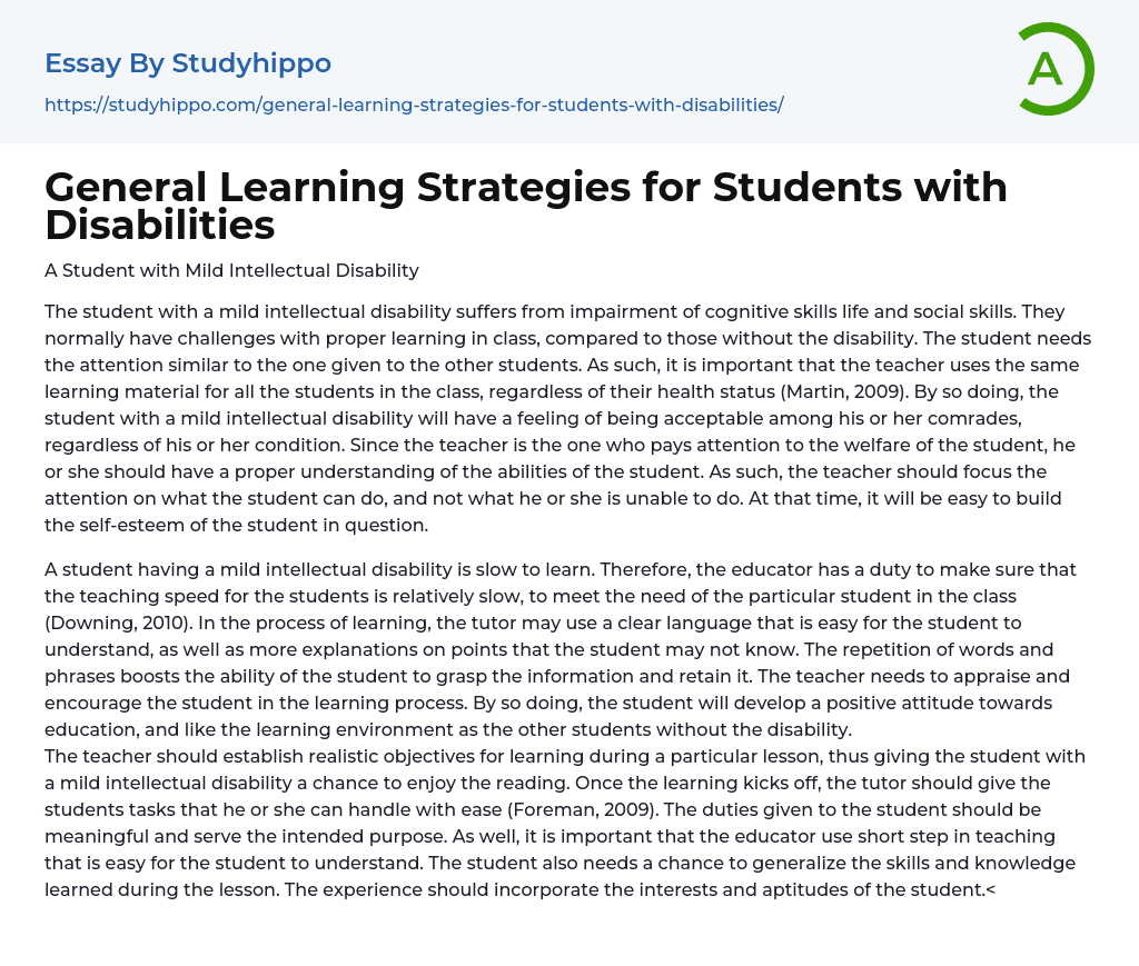 General Learning Strategies for Students with Disabilities Essay Example