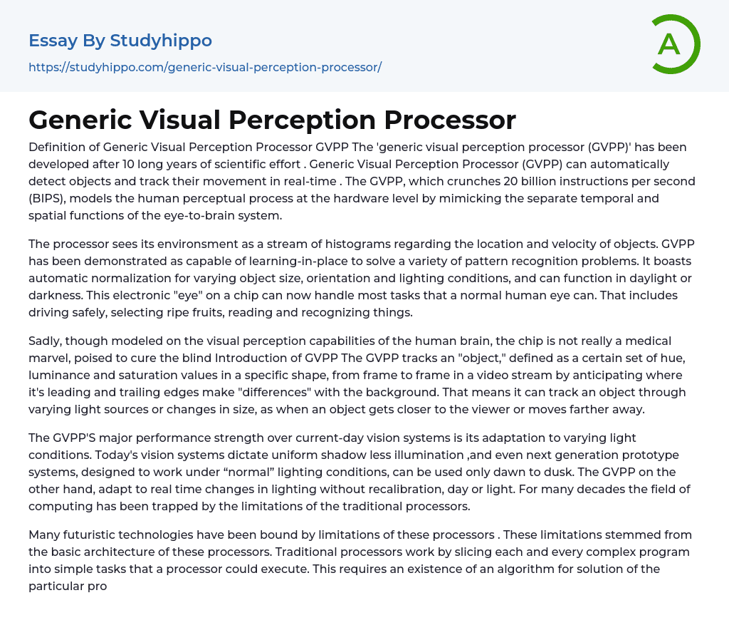 essay topics for visual perception