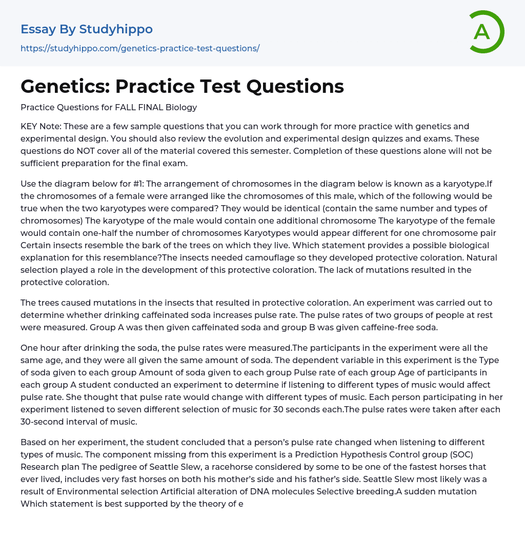 Genetics: Practice Test Questions Essay Example