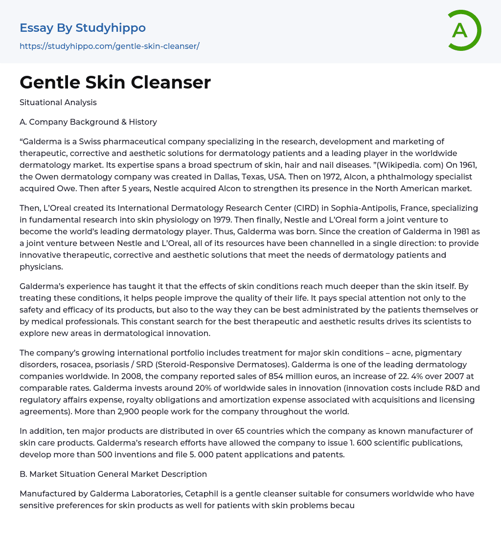 Gentle Skin Cleanser Essay Example