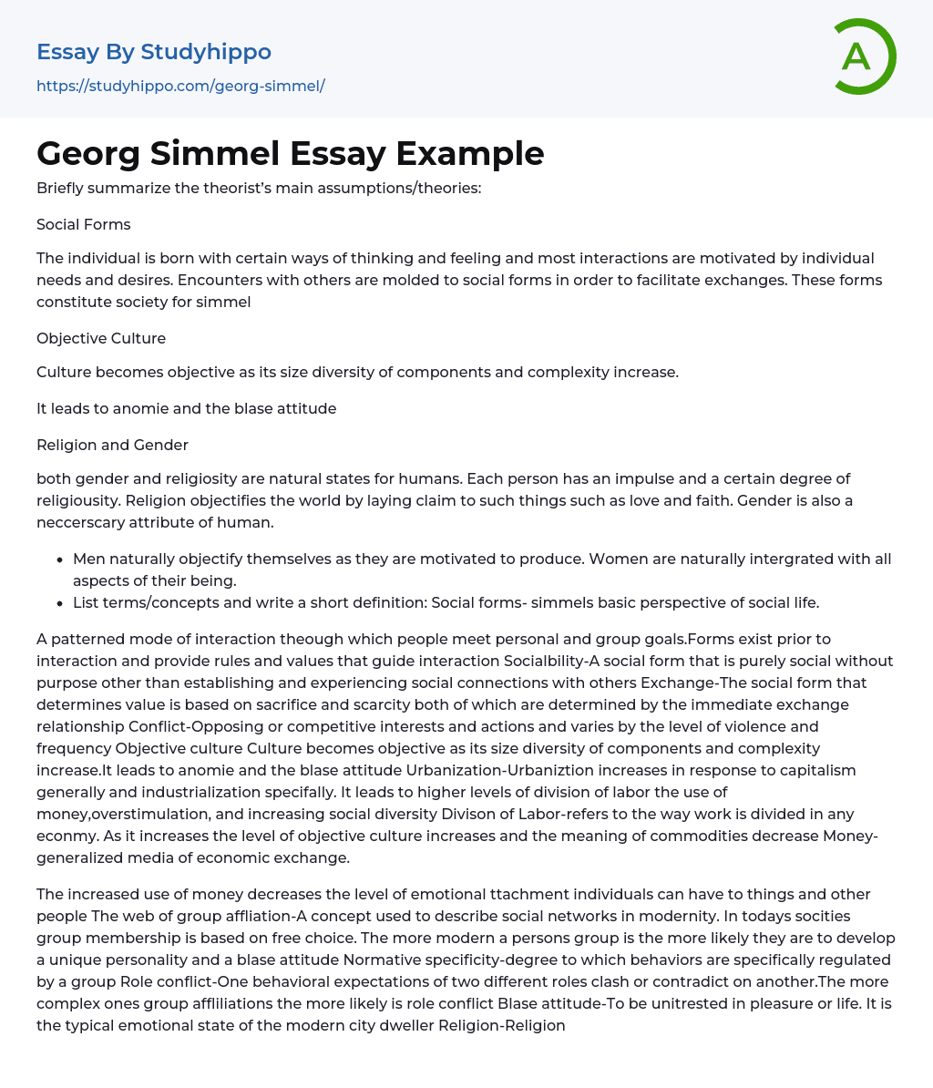 Georg Simmel Essay Example