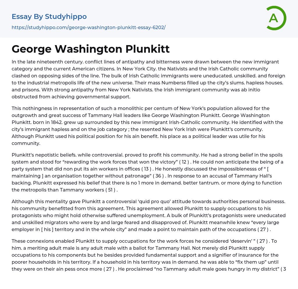George Washington Plunkitt Essay Example