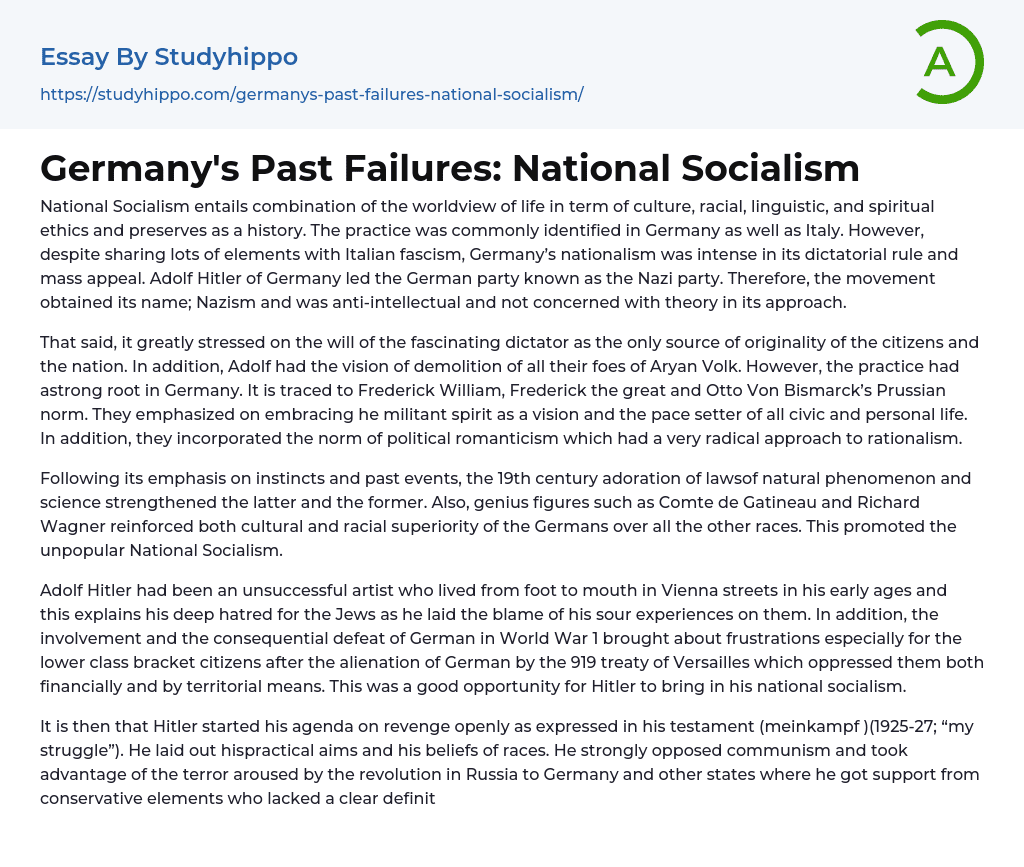 Germany’s Past Failures: National Socialism Essay Example