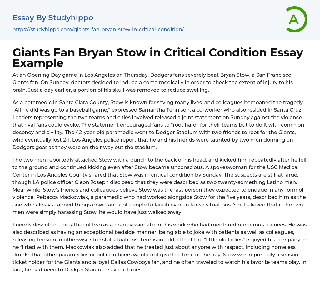 Giants Fan Bryan Stow in Critical Condition Essay Example