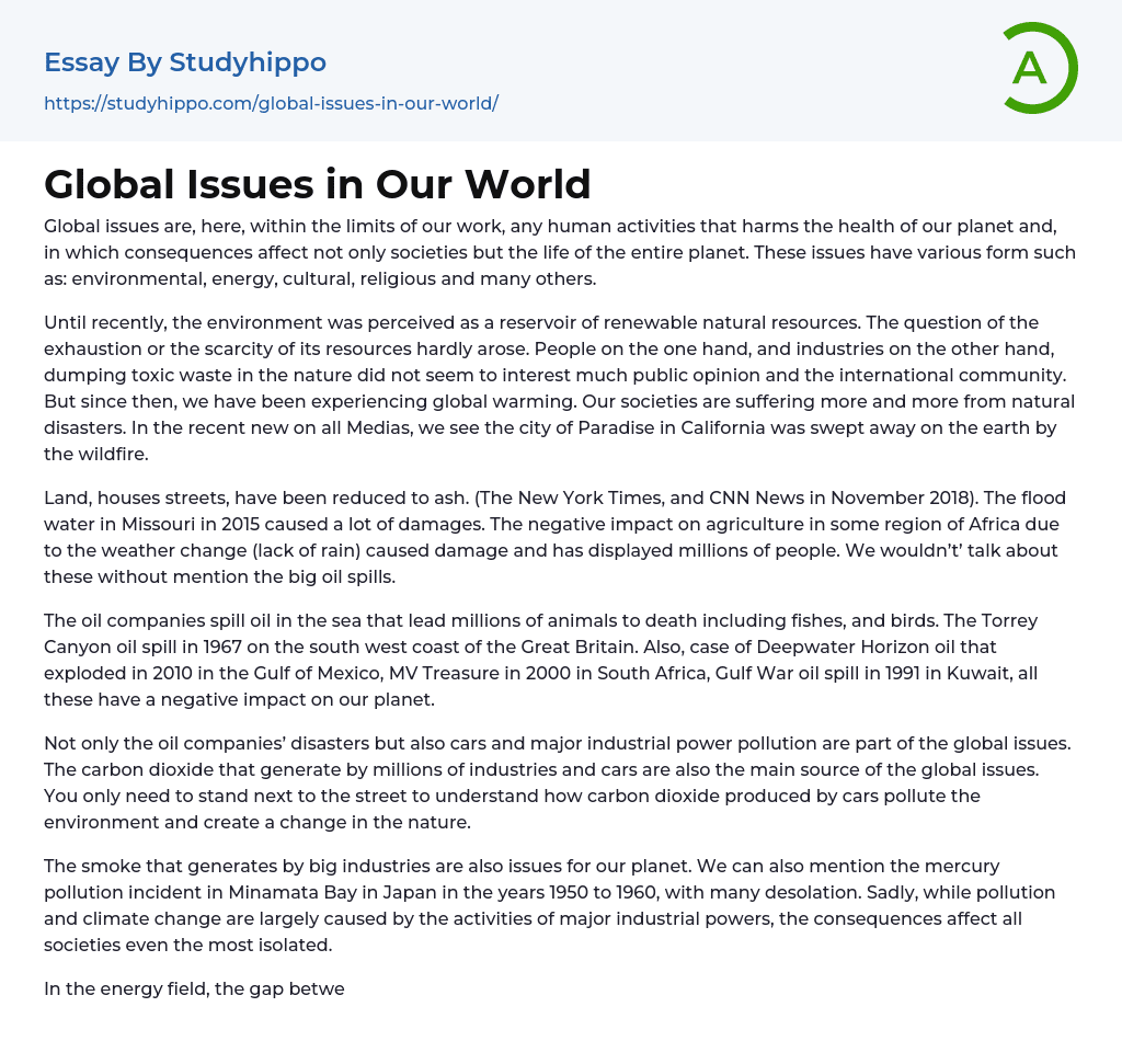 Global Issues in Our World Essay Example