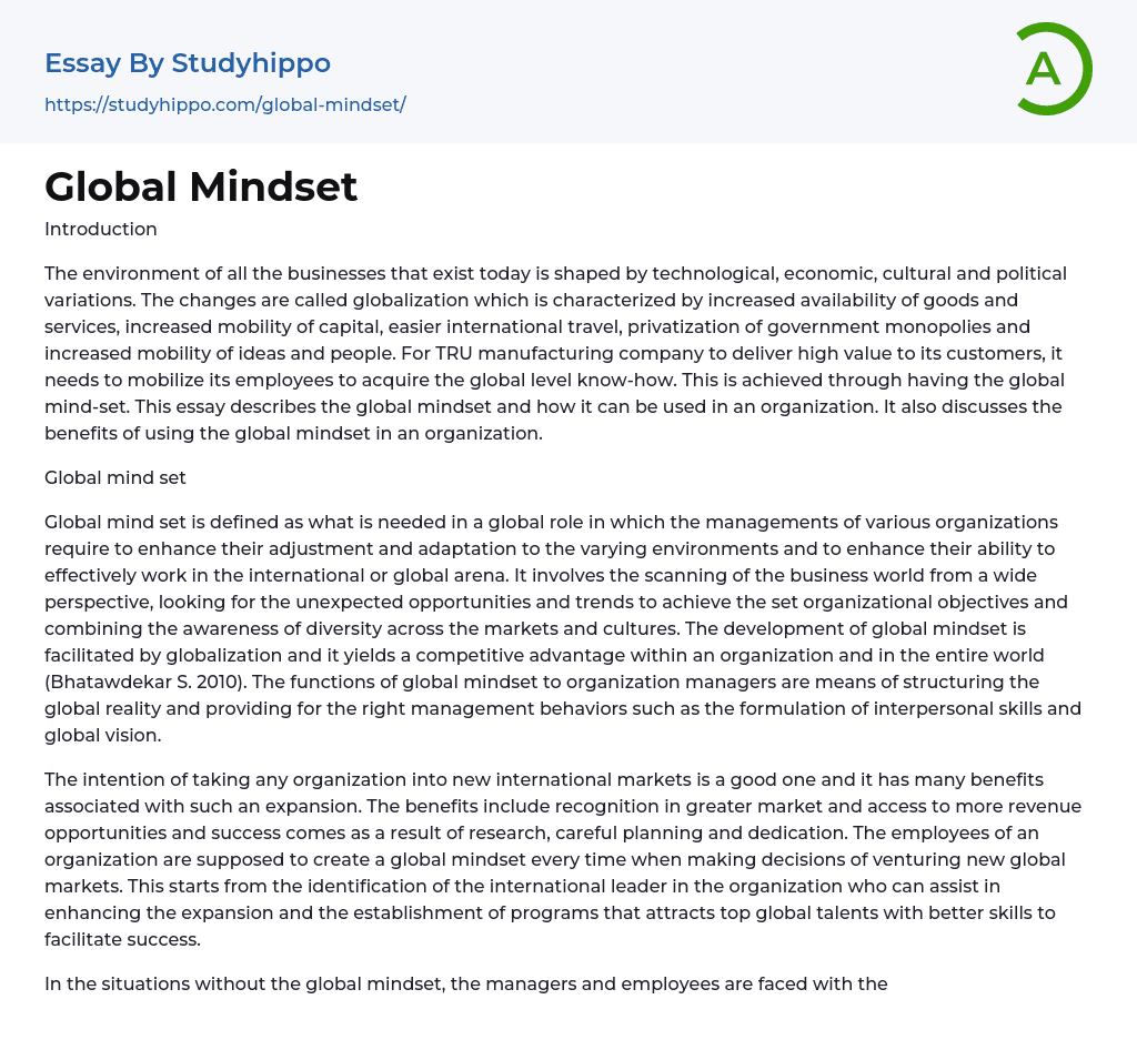 Global Mindset Essay Example