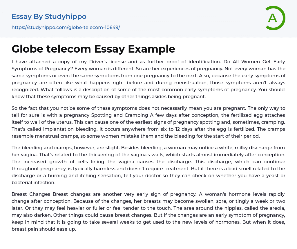 Globe telecom Essay Example