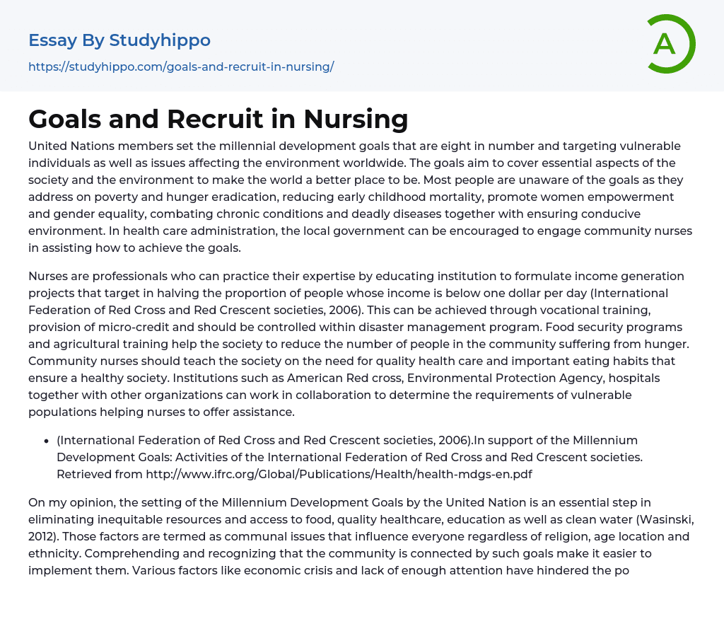 Goals and Recruit in Nursing Essay Example