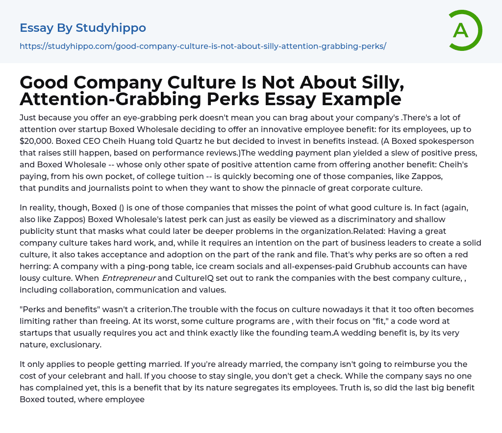Good Company Culture Is Not About Silly, Attention-Grabbing Perks Essay Example