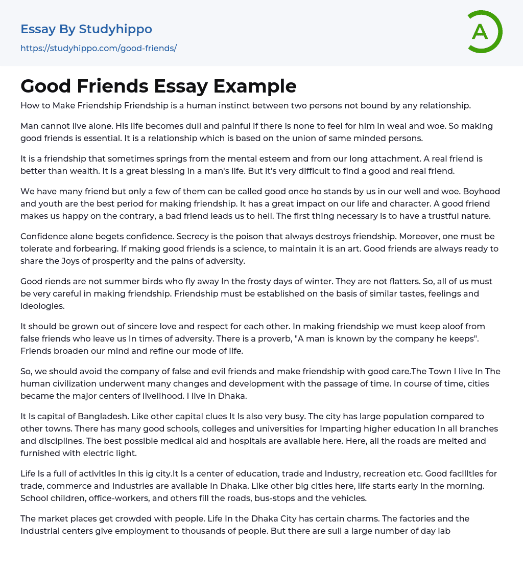 Good Friends Essay Example