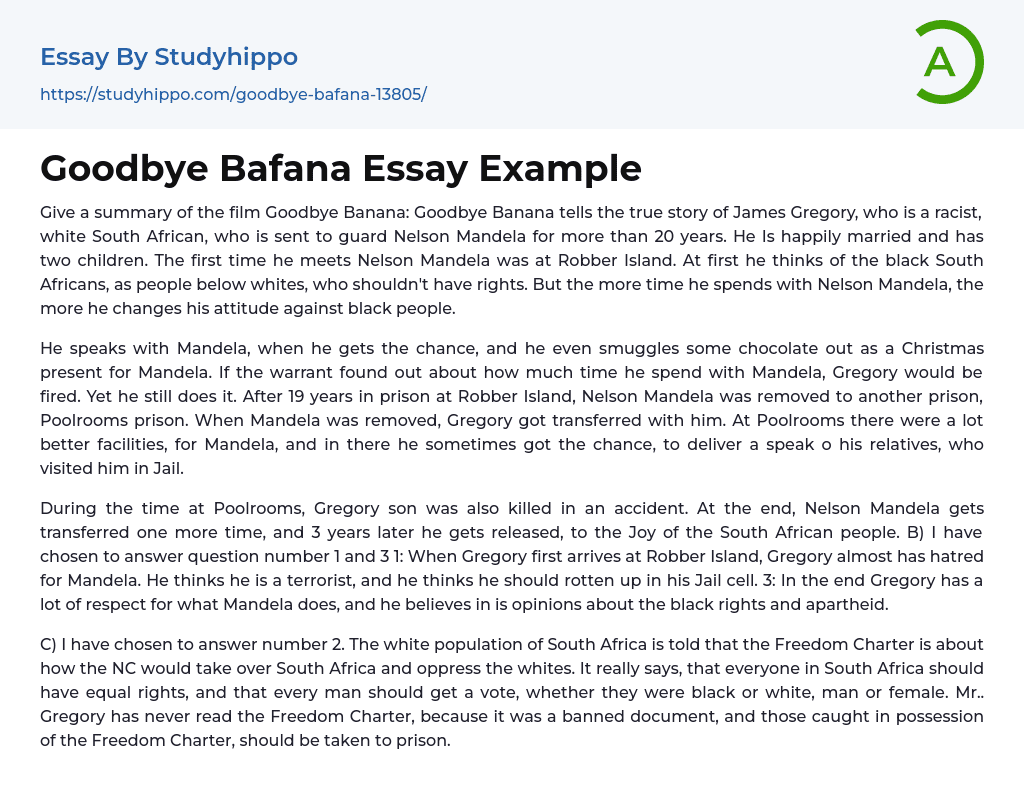 Goodbye Bafana Essay Example